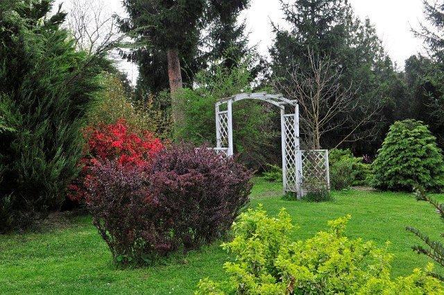 Misefa Kastely Bed & Breakfast Exterior foto